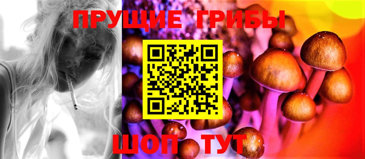 Заринск  Псилоцибиновые грибы Magic Shrooms  Вход с VPN 